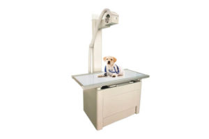 500ma-digital-veterinary-X-ray-machine
