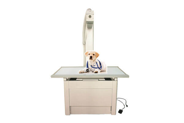 Application of Veterinary X ray machine