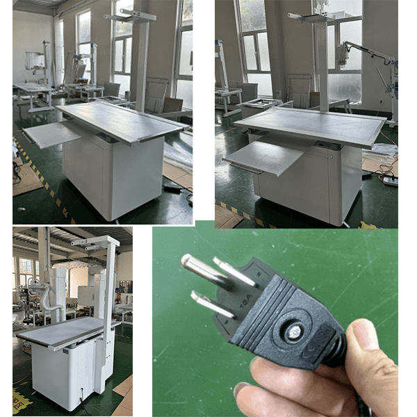 animal photography flat bed